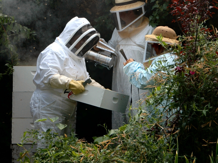 Our<br/> training courses