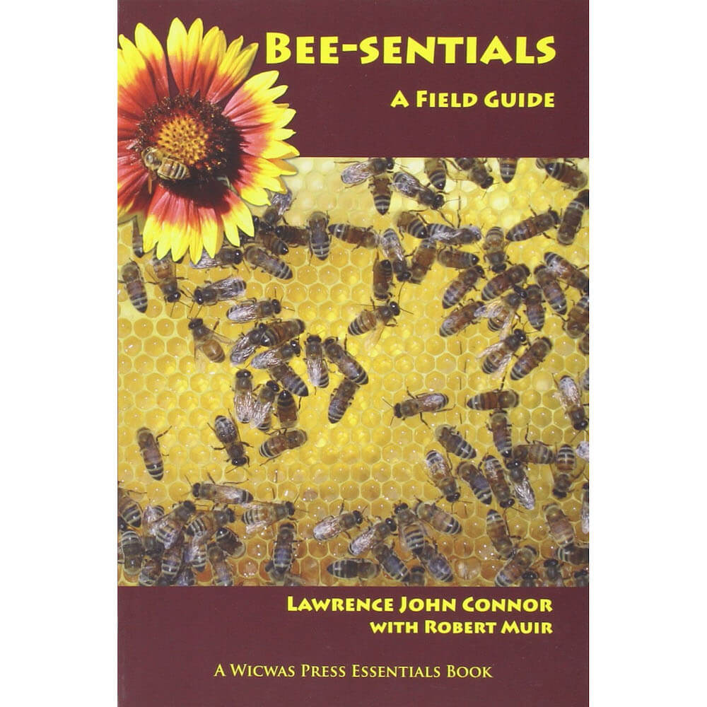 Bee-sentials: A Field Guide