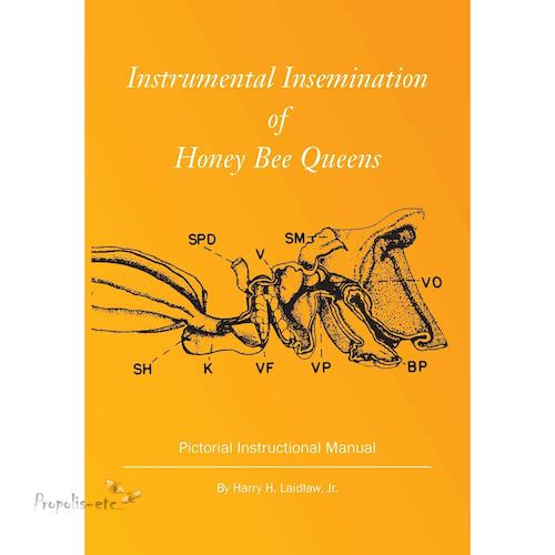 Instrumental of Honey Bee Queens