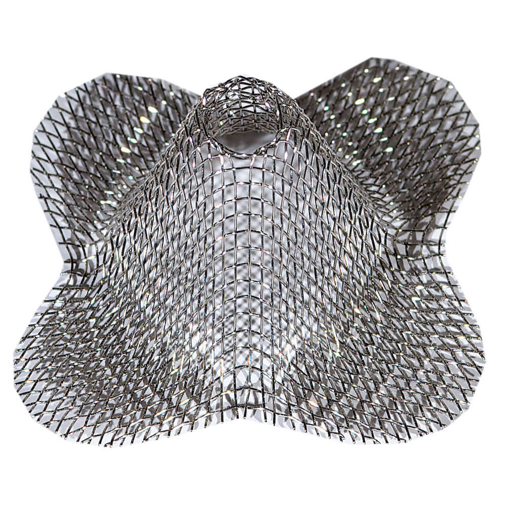 Cônes chasse-abeilles inox