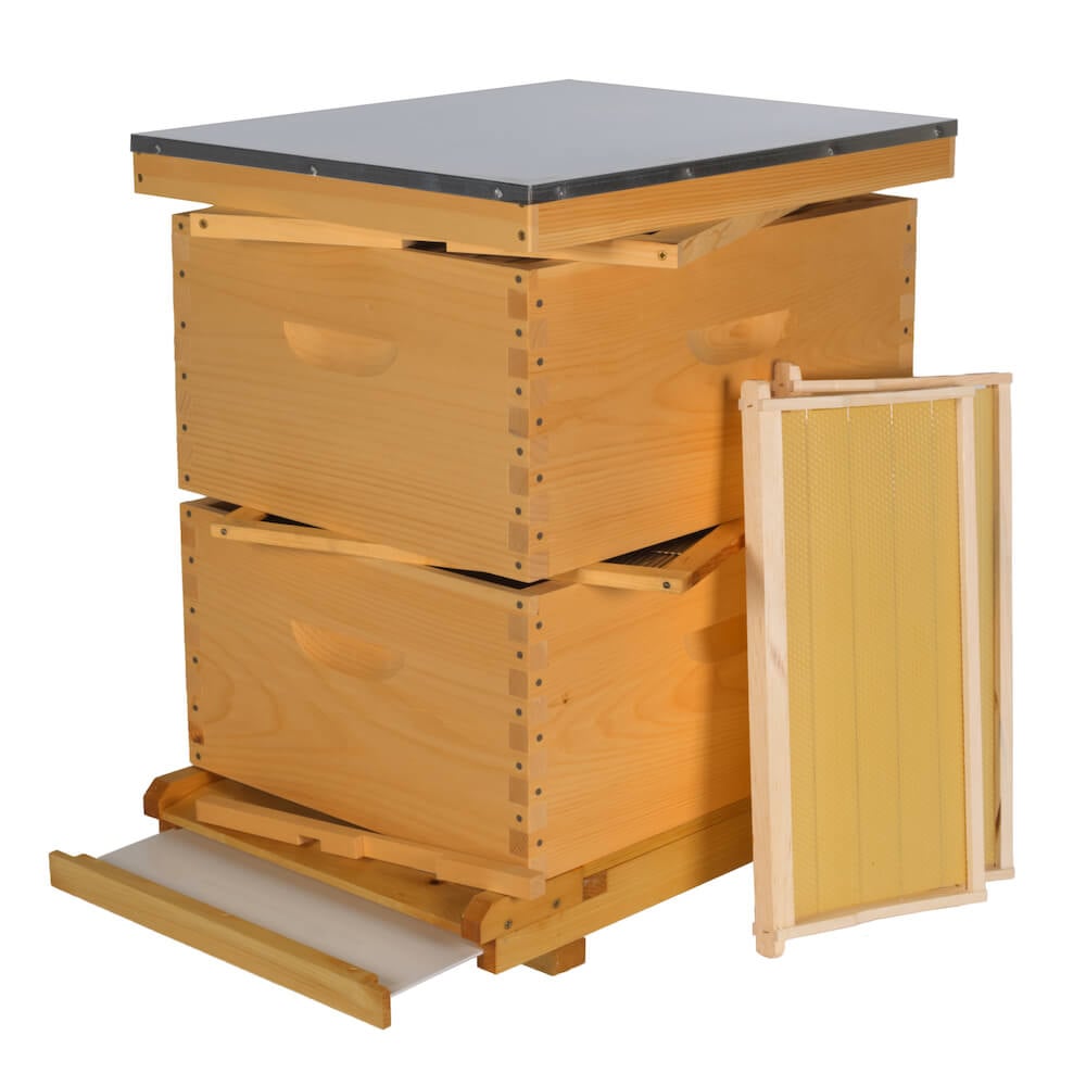 Ensemble ruche Paraffiné (Fond. cire - Plat. grillagé)