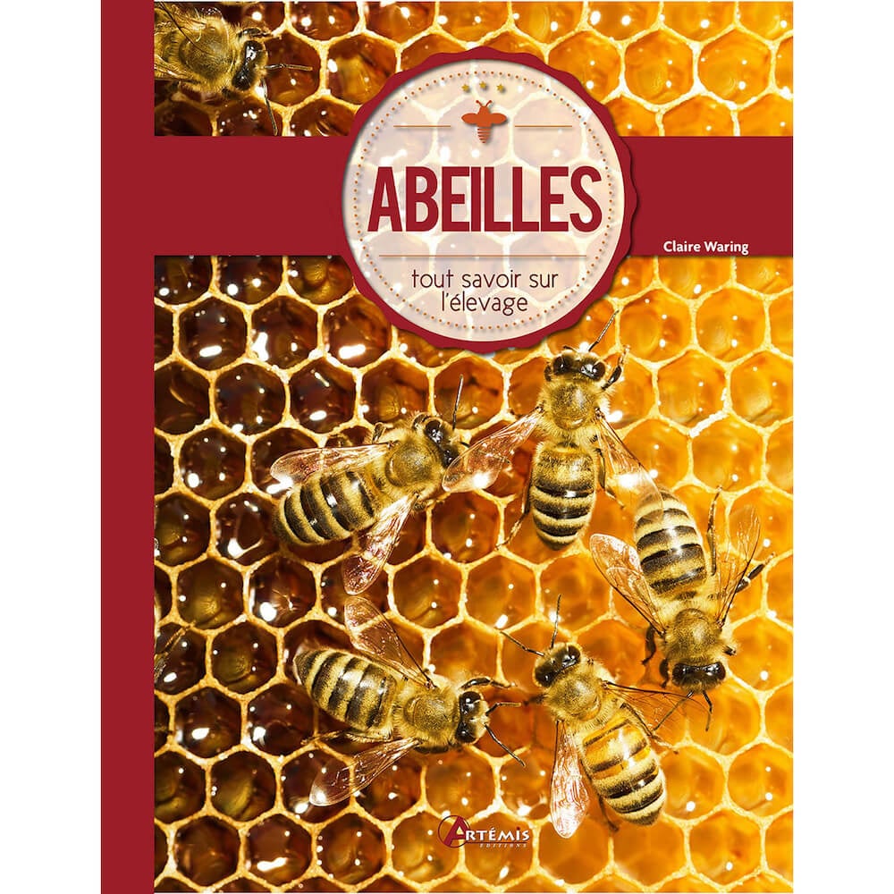 Abeilles - tout savoir sur l'apiculture