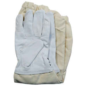 Goat Skin Gloves (economic model)