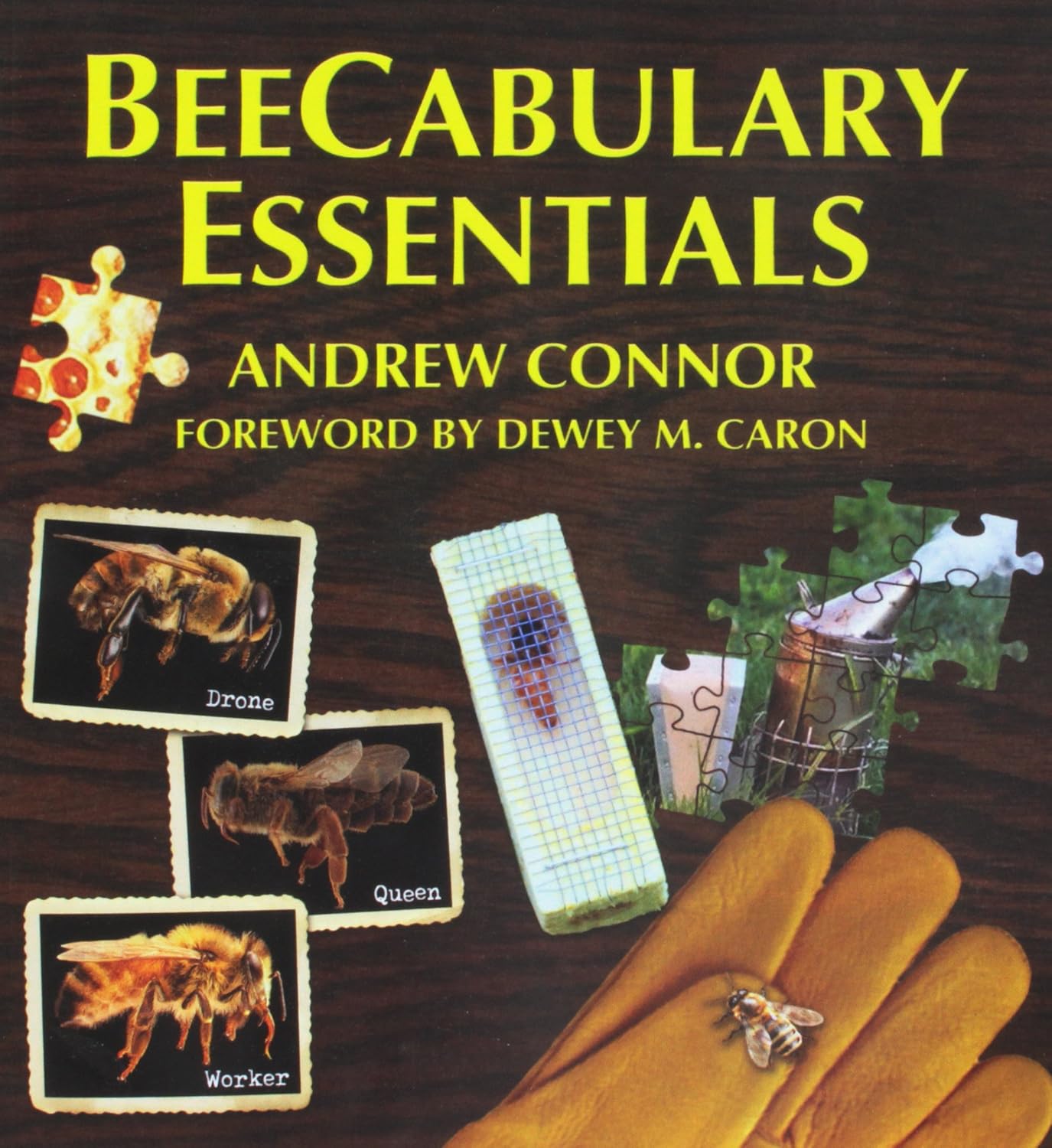 BeeCabulary Essentials